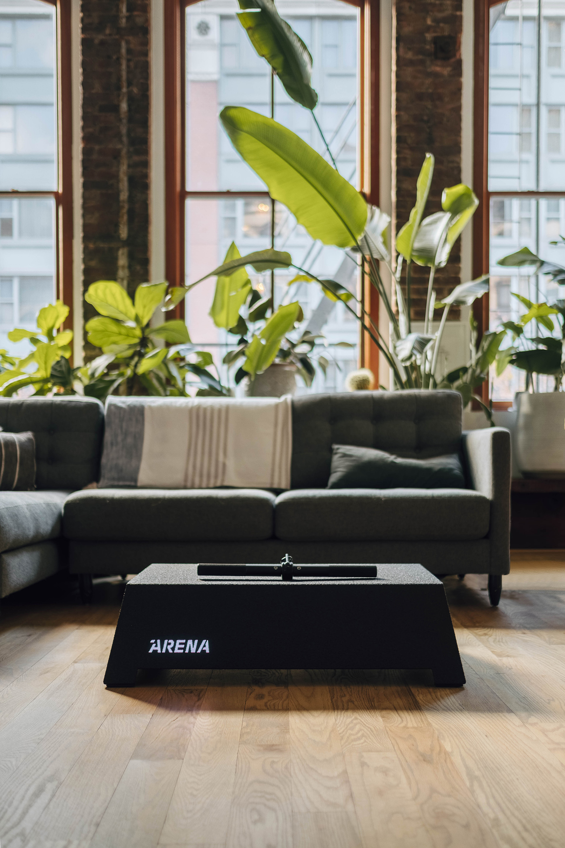 Arena Home Gym